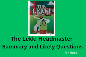 The Lekki Headmaster